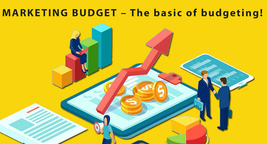 Bay Area Marketing Budget Planning and Allocation