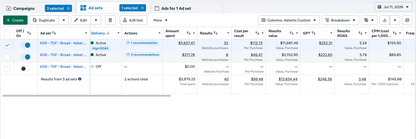 1-on-1 Meta Ads Coaching Session